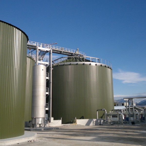 Berdikousias Larisas